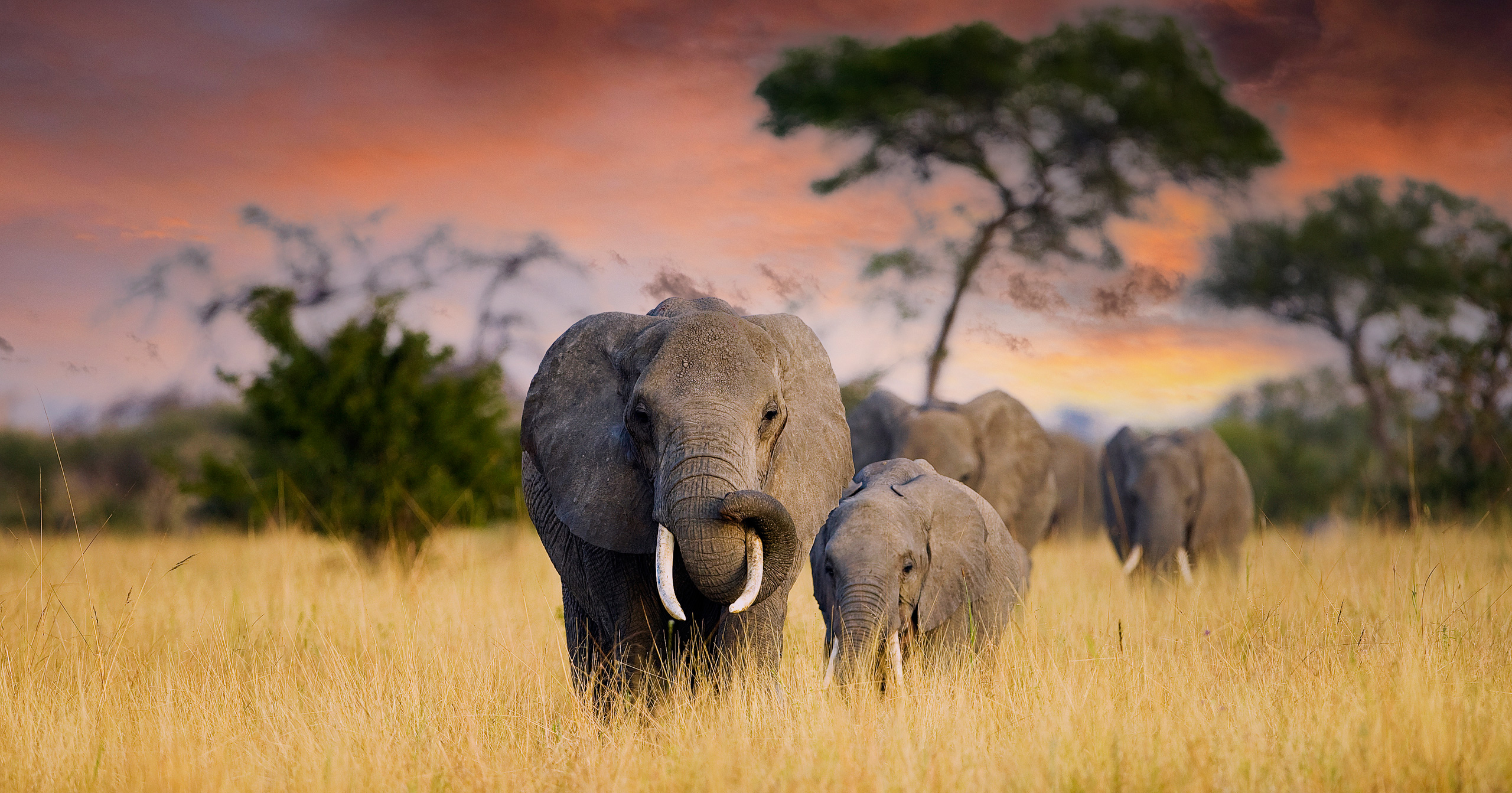 East Africa
